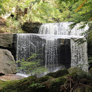 Local Governments and Water For Individuals
