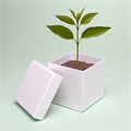Sustainable packages with responsible forestry