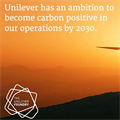 Unilever yenilenebilir enerji çözümleri arıyor