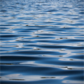 The UN will protect biodiversity in open seas