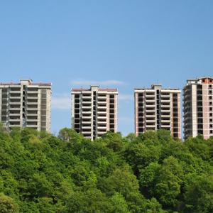 Misinformation about the environment harms green movement