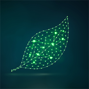 Following the types of artificial intelligence