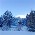 '30 years will last in the winter door'