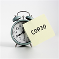 30 things you need to know about COP30