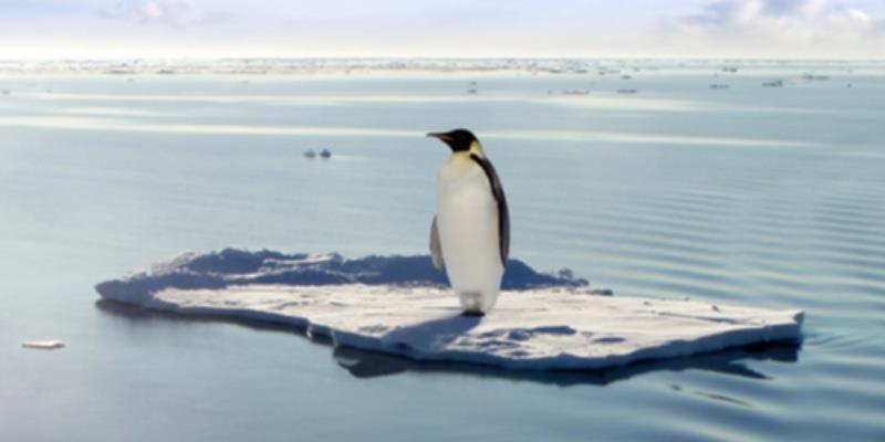 İmparator penguen ve kürklü foklar tehlikede