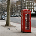 Londra'nın telefon kulübeleri yeşillendi