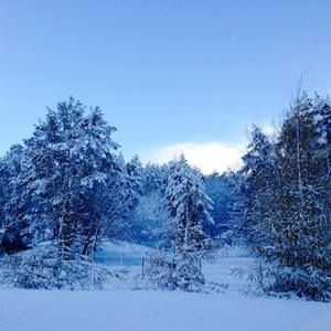 '30 years will last in the winter door'