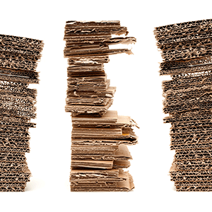 Paper mud entrepreneur received Episome investment support