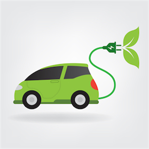 Half of the Consumers are driven by an environmentally friendly vehicle