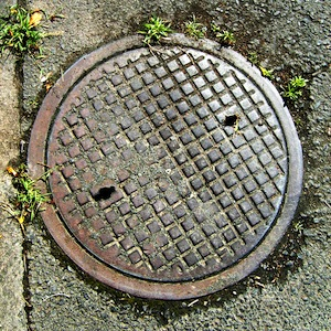 Biofuel from sewage mud
