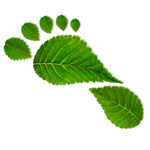 What is the ‘Carbon footprint?’