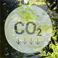 Dartington Declaration from scientists  u