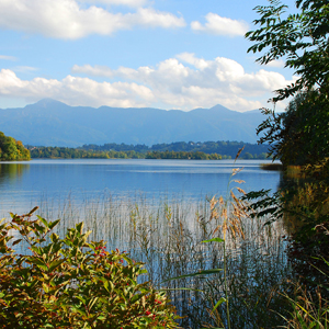 Sapanca Lake under danger