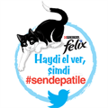 #sendepatile dediler, barınak sakinlerini beslediler