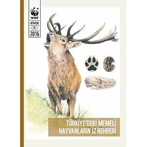 Türkiye'deki Memeli Hayvanların İz Rehberi