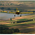 Environmentalists in the island for Kazberg: Air-to-mediation stop Home