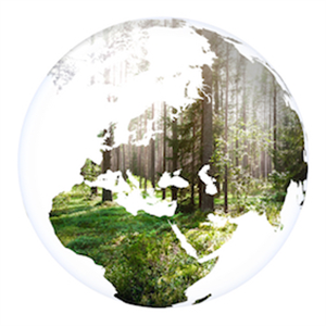 How global climate changed over the past 50 years?