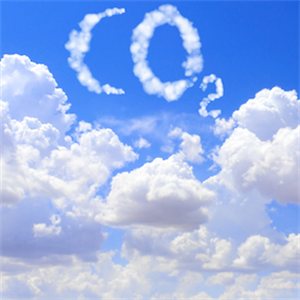 ‘zero carbon’ target from the international consulting company