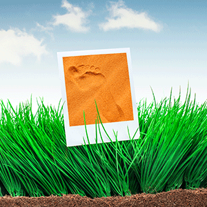 How to minimize soil footprint?
