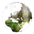 How global climate changed over the past 50 years?