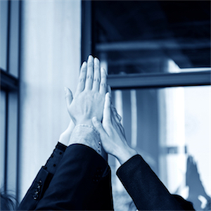 CEOs combine against climate crisis
