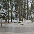 Photo ban on the lake holding ice