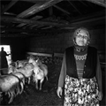 The success of Turkish photo artists in the environment