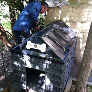 Saint Benoît students collected 8000 bottles for street animals and environment