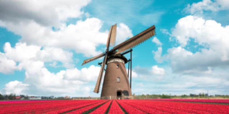 Hollanda iklim politikalarını vatandaşlarla birlikte şekillendiriyor