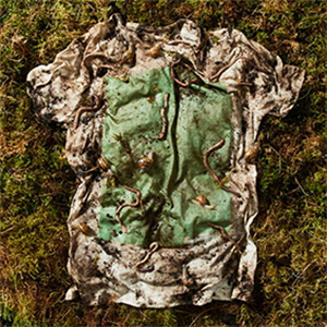 Made of T-shirt with fertilizer when old