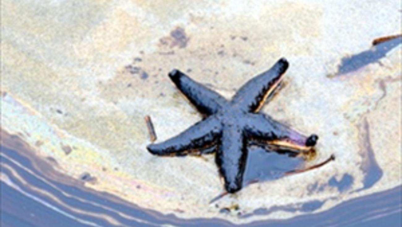 The invisible face of oil pollution in the oceans