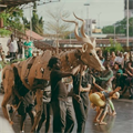 It tells about climate migration with art