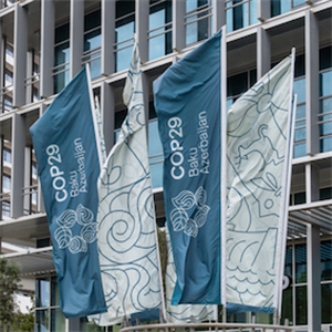 COP29: İkinci gün öne çıkanlar