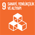 Sustainable Development Goals: Industry, Innovation and Infrastructure