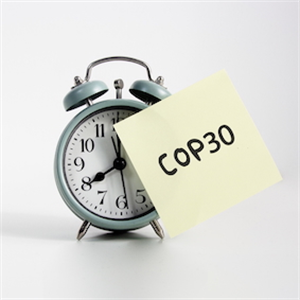 30 things you need to know about COP30