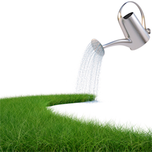 Grass bans started!