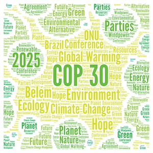 New targets and missing on the second day of COP30