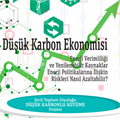Low Carbon Economy: How Can Reduce Risks on Energy Efficiency and Renewable Resources Energy Policy?