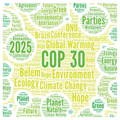 New targets and missing on the second day of COP30