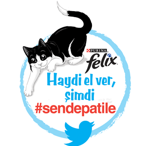 #sendepatile dediler, barınak sakinlerini beslediler