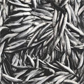 The change of fish