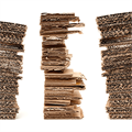 Paper mud entrepreneur received Episome investment support